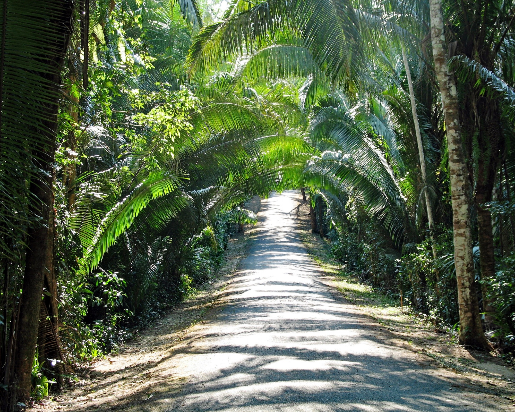 Stann Creek District Of Belize GrandBaymen